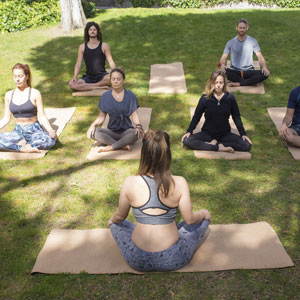 Viniyoga